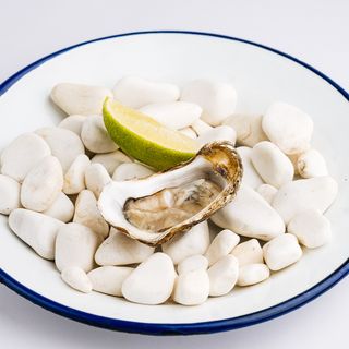 Устриця Fine de Clair №3 - 12 шт