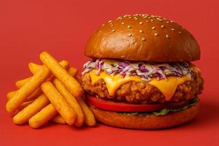 Crispy Burger