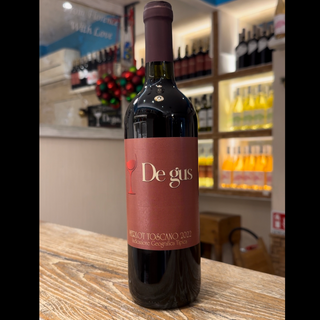 Merlot in bottiglia 75 cl