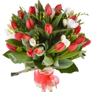 Buchet 37 fire Lalele si Frezii alb cu rosu