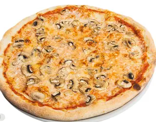 Funghi porcini