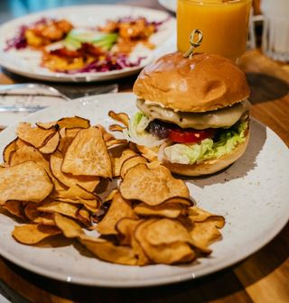 Burguer Vegetariano