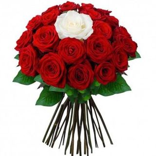 Bouquet Amour  17 Roses