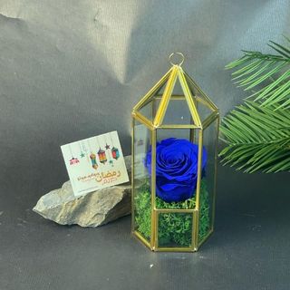 Rose Eternelle Bleue Royale sous Fanous