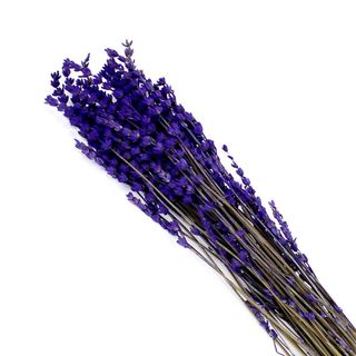 Lavanda Preservada