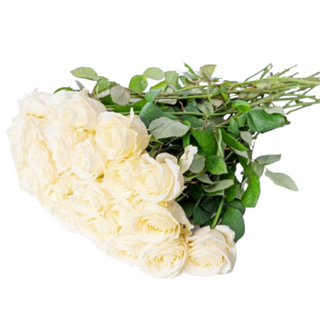 Bukiet z 9 białych róż Sympatia