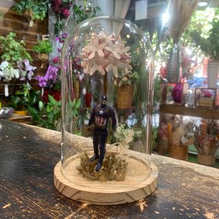 Cúpula con Biznaga y SúperHéroe "América"