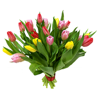 Bukiet z 15 szt tulipanów mix kolorów