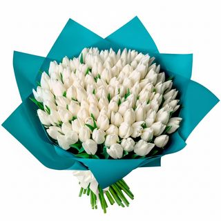 101 білий тюльпан!