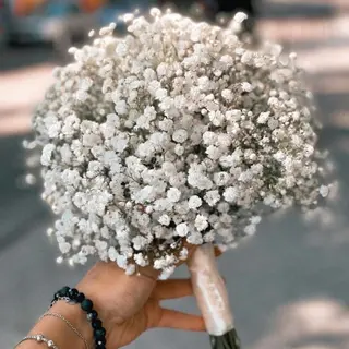 Bouquet Gypsophila