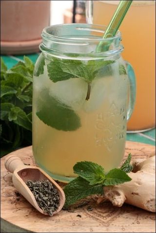 Jus De Gingembre Citron Et Menthe