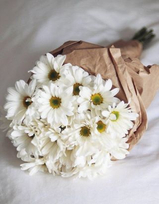 თეთრი ქრიზანთემები კრაფტში