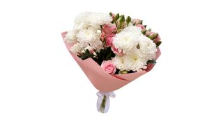 სპრეი და ჰოლანდიური გვირილა