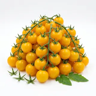 Pomodoro gialli circa - 400 g