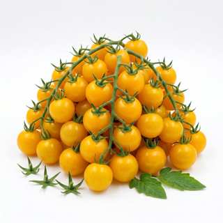 Pomodoro gialli circa - 400 g