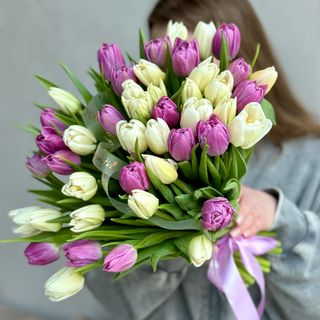 45 біло-фіолетових піоновидних тюльпанів