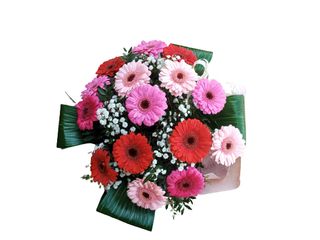 Duży bukiet z kolorowych gerberek miniaturek