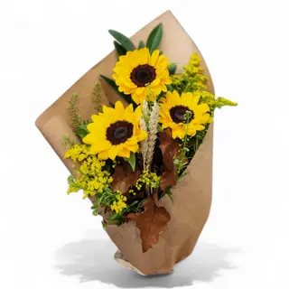 3 girasoli medi