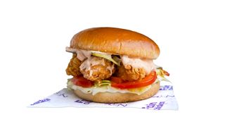 FAIN BURGER CLASSIC -220G
