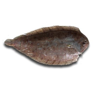 Lenguado De Arena Entero 1 Kg.