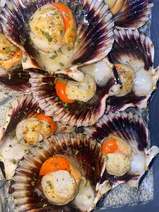 Vieiras del pacífico