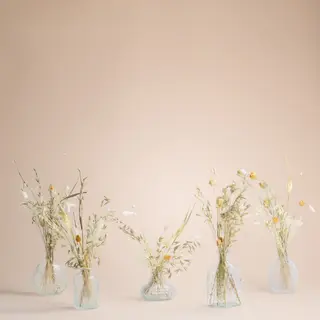Fiori secchi su vasi o in vetro trasparente