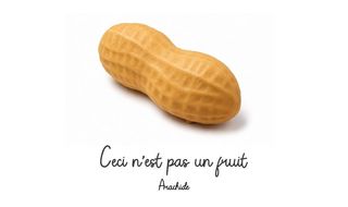Arachide - Frutta Realistica