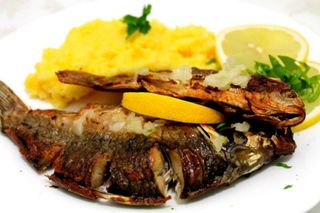 Păstrăv la grătar sau prăjit cu mămăliguță și mujdei