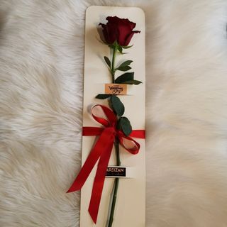 Trandafir Artizan rosu A