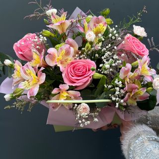 კალათა #5