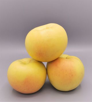 Manzana Golden Rose 1 Kg. (3-4 Uds.)