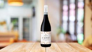 Montepulciano d'Abruzzo Alarius