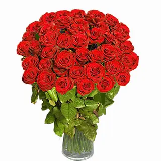 29 rose rosse