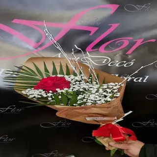 Rosa Roja Unidad