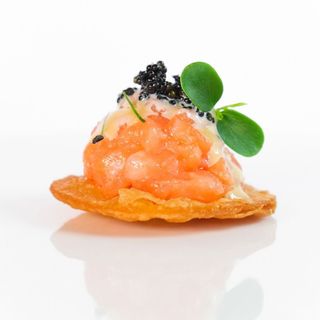 Cialda salmone marinato