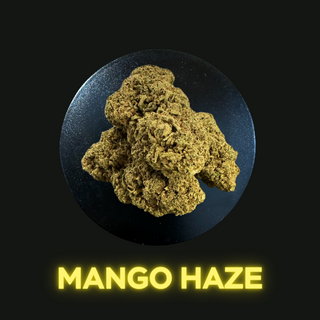 Mango Haze 1Gr