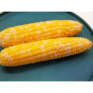 Sweetcorn on Cob
