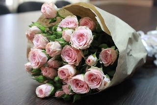 ვარდისფერი ვარდები #1