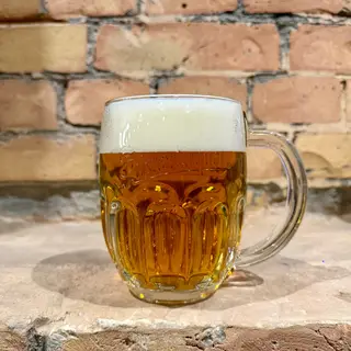 Pilsner Urquell (0.5л)