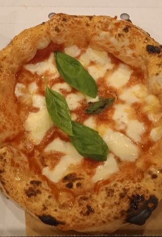Margherita - pizza normale