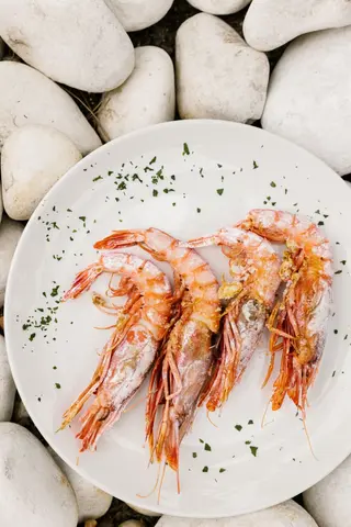 Gamba Roja