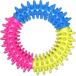 PAWISE Igračka za pse Rainbow World Obruč