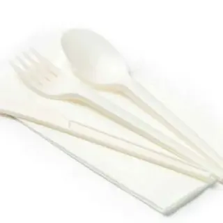 Posate di Plastica