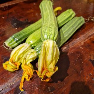 Zucchine romanesche 500 g