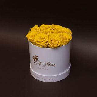 9 trandafiri criogenați galbeni în cutie de lux mică alba