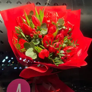 Tulipan 15