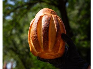 Бріе ( французький батон).