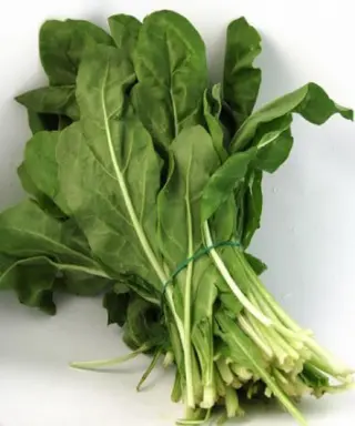 Bietola