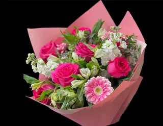 Bloom Ciclam