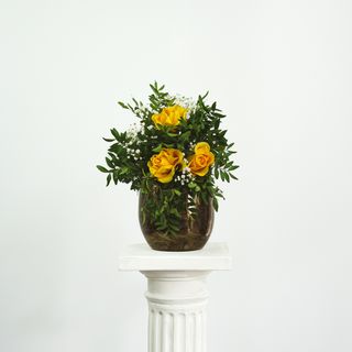  Ramo de Tres Rosas Amarillas - BK